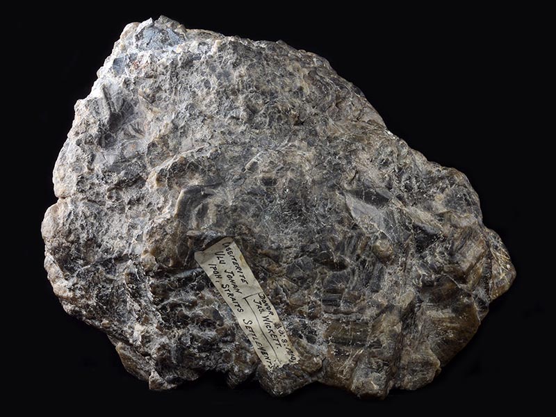Cassiterite 18 cm across